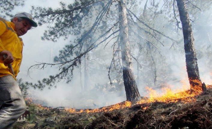 Yangına havadan, karadan müdahale sürüyor