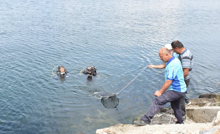 ‘Denizden babam çıksa yerim’ demeden önce bir kez daha düşünün