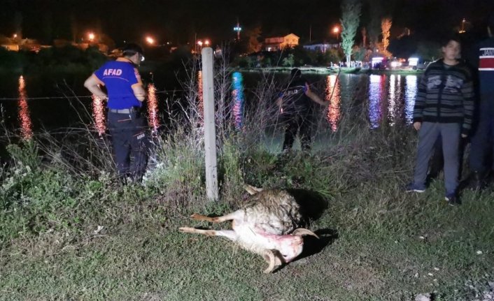 Gölette aranan çobanın arama çalışmalarına ara verildi
