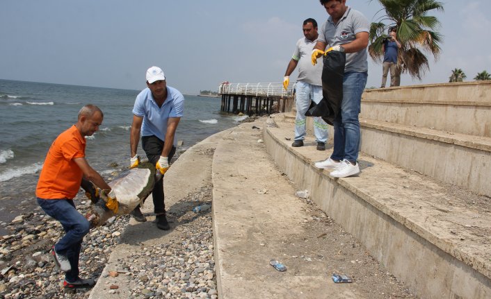 Mersin’de dev kaplumbağa ölü olarak sahile vurdu