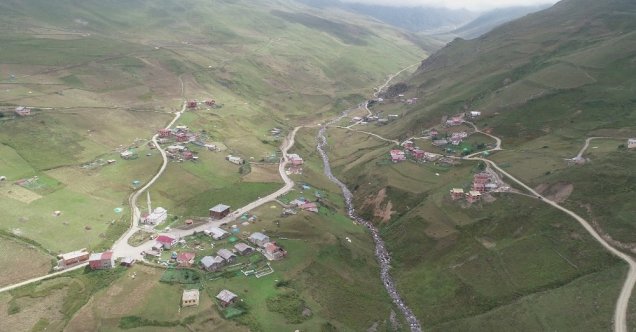 Anzer balı kilosu bin liradan satılacak