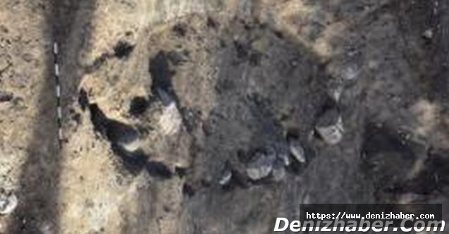 Arnavutluk sahillerinde 22 antik Yunan amforası bulundu