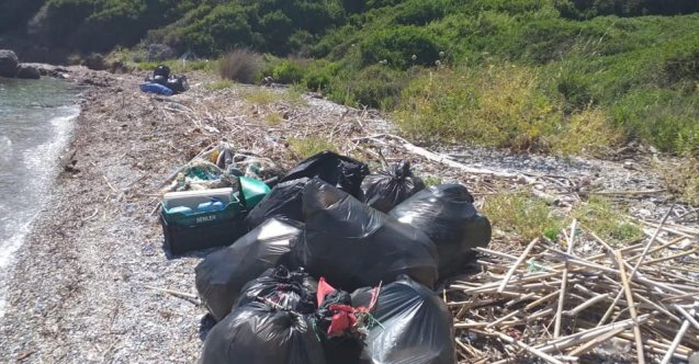 Milli Park’ta kıyı temizliği