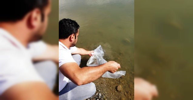Samsun’da göl ve göletlere 120 bin adet yavru balık bırakıldı