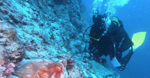 Antalya’da "Sualtının Göbeklitepesi" ahtapot eşliğinde gün yüzüne çıkıyor