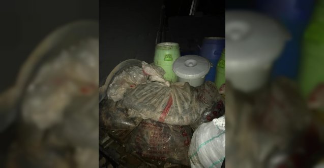 Didim’de 500 kilo deniz patlıcanı ele geçirildi