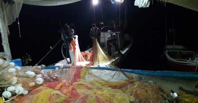 Balıkçı ile tilkinin dostluğu görenleri şaşırttı