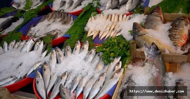 Karadenizli balıkçılar palamut avında umduklarını bulamıyor