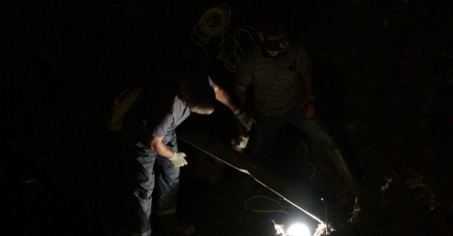 NATO hattında sızıntı paniği...Büyük seferberlik