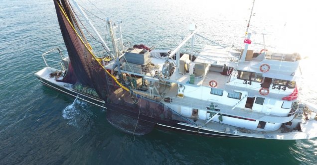 Sinoplu balıkçılar ilk gün satışlardan memnun