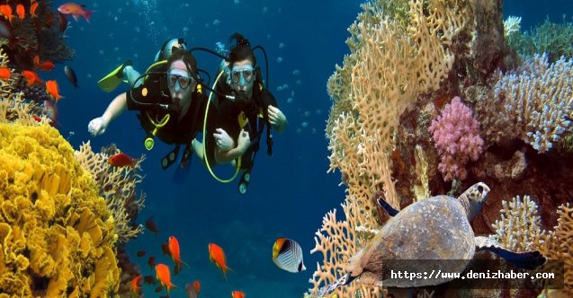 En önemli dalış merkezleri arasında yer alıyor
