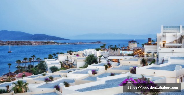 2019 yılında kaç otel icralık oldu?