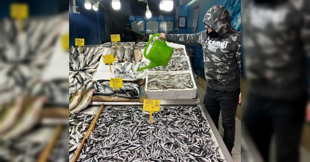 Balık bu sezon yüz güldürmedi