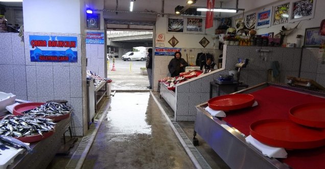 Balıkçı esnafının gözü Gürcistan’dan gelecek hamside