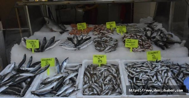 Balıkçıların yüzü 2019'da gülmedi