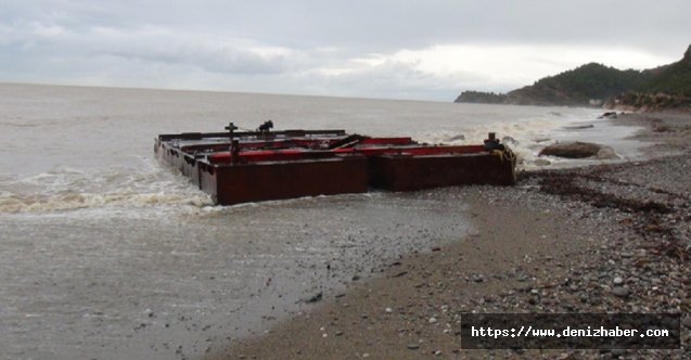 Sahile vuran dev platform şaşkınlığa neden oldu