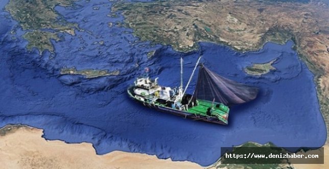 Akdeniz’de büyük balık mücadelesi