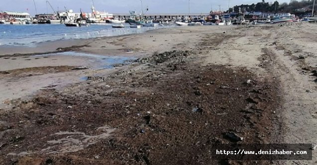 Deniz çekildi, 2 bin 500 yıllık liman ortaya çıktı