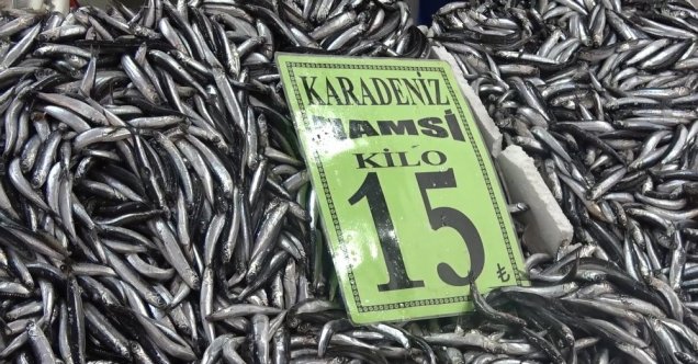 Hamsi Rusya ve Gürcistan’a kaçtı, vatandaşlar buzhane balığı tüketiyor