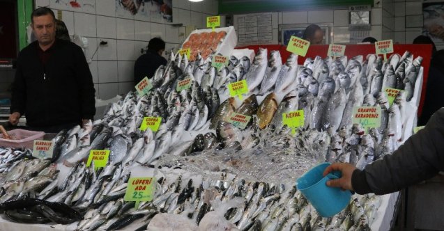 Hamsi Rusya ve Gürcistan’dan geriye dönecek