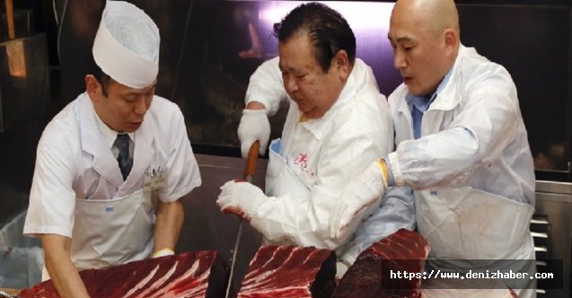 Orkinos balığı 11 milyon dolara satıldı