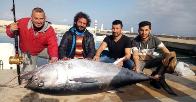 Dev orkinos amatör balıkçıları 8 saat Datça’dan Kos’a oradan Bodrum’a sürükledi