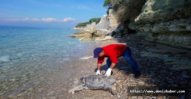 Trol tekne ağları can almaya devam ediyor