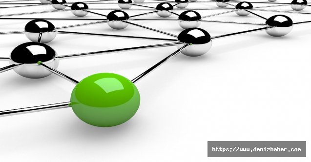 Türk bilim insanları Antarktika&#039;dan sonra Arktik&#039;te de yeni bakteri keşfetti