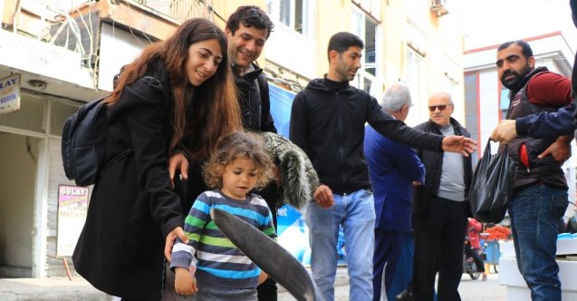 200 kilogramlık köpek balığı ile fotoğraf yarışı