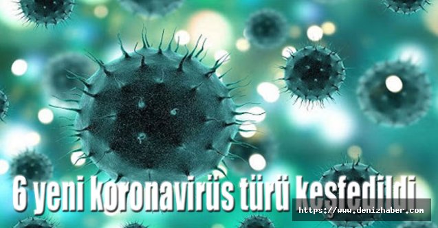 6 yeni koronavirüs türü keşfedildi