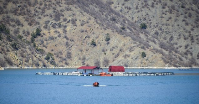 Alabalık tesisinden 300 kg balık çaldılar