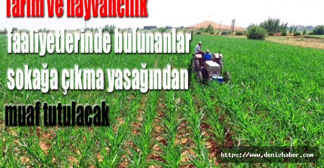 Bakan Pakdemirli'den "sokağa çıkma yasağı" açıklaması
