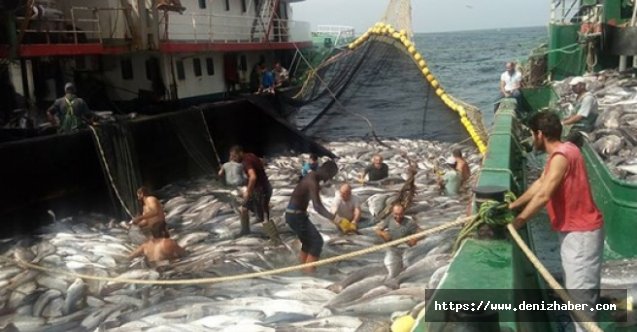 Moritanya’ya avlanmaya giden bin balıkçımızdan güzel haber