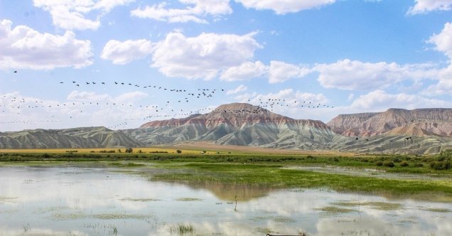 Nallıhan Kuş Cennetine göçmen kuşlar gelmeye başladı