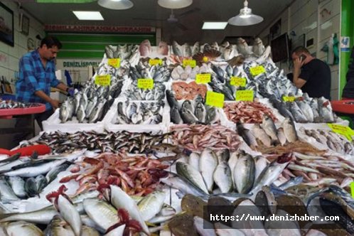 Tezgahlarda balık fiyatları ucuzladı