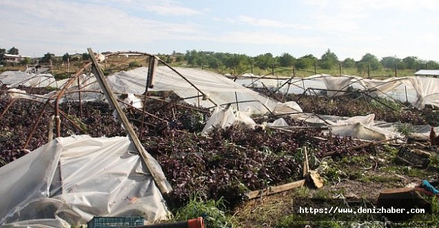 Hortumun vurduğu seralar drone ile görüntülendi!