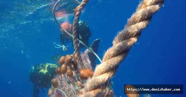 İtalyan Sahil Güvenlik Dev Balinayı Dolandığı Ağlardan Kurtardı! (Video)