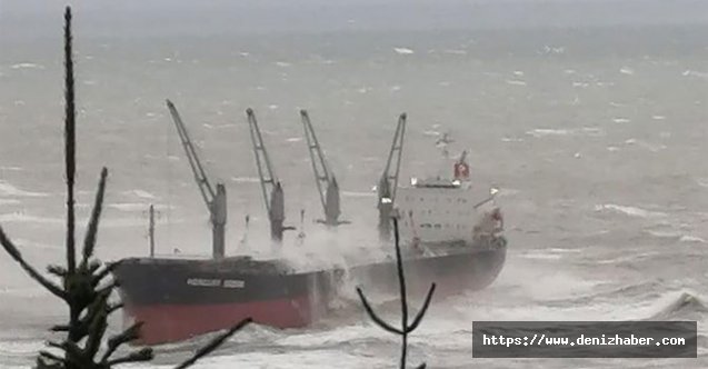 Dökme yük gemisi fırtınada sürüklenerek karaya oturdu! (Video)