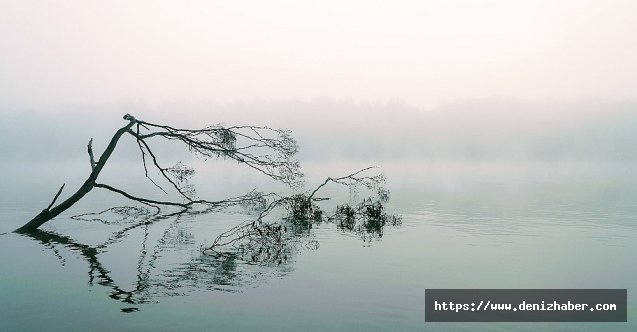 İklim değişikliği yeni tehlikelere kapı aralıyor!