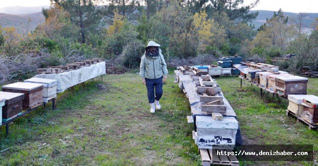 Kaptan Adem Özkan Yalçın 10 yıldır arıcılık yapıyor
