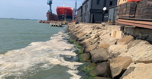 Denizdeki kirliliğin nedeni Alg Patlaması!