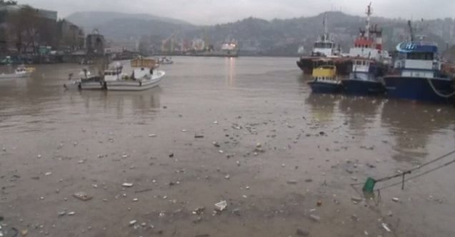 Zonguldak Limanı sarıya boyandı!
