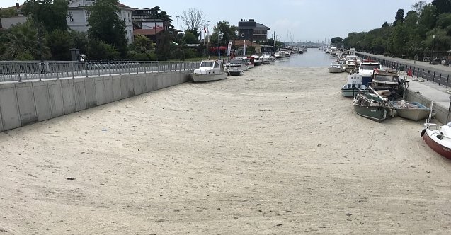 Kadıköy Kurbağalıdere deniz salyası ile kaplandı!