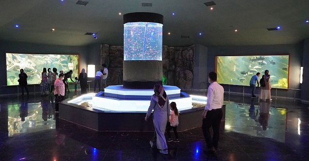 Sualtı meraklılarının adresi deniz dünyası!