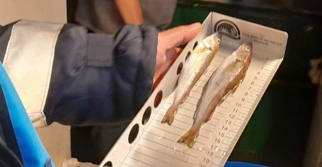 İğneada&#039;da balık boyları denetlendi!