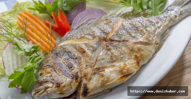 Su ürünleri sektöründen üniversite ile iş birliği