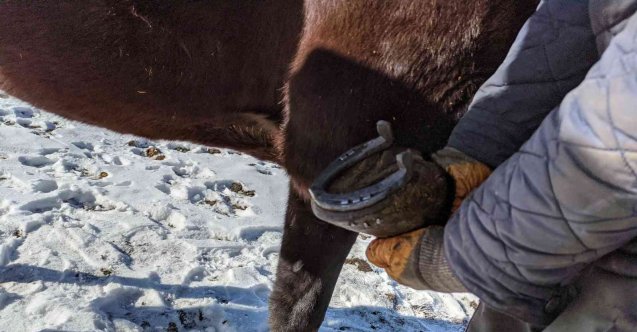 Çıldır Gölü’nde atlara &quot;kış lastiği&quot;