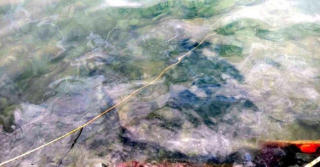 Denize sintine boşaltan tekne sahibine yasal işlem uygulandı