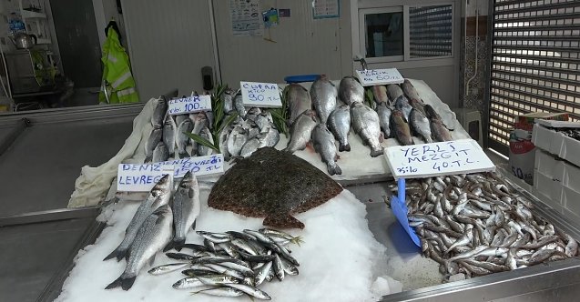 Karadeniz'de balık azlığı, tezgâhlara yansıdı