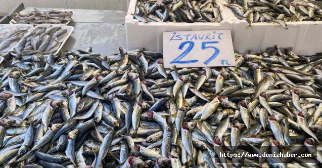 Karadenizli balıkçılar sezondan umduğunu bulamadı